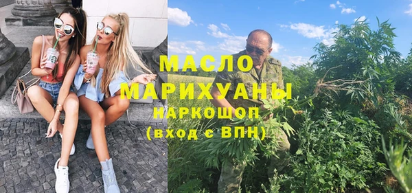 гидра Верхний Тагил