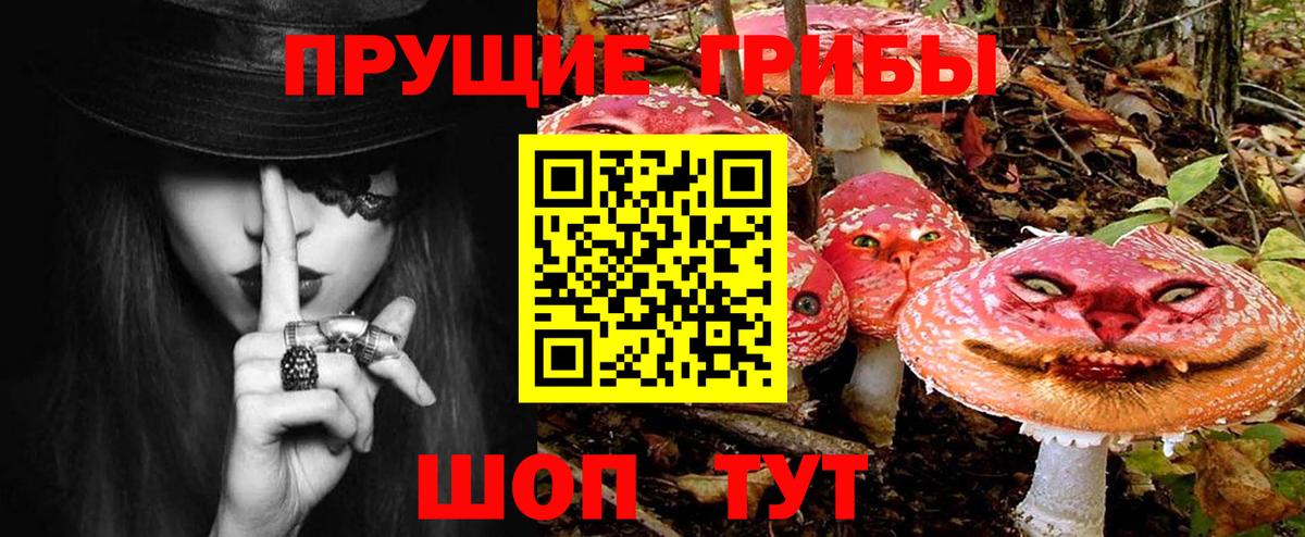 Галлюциногенные грибы GOLDEN TEACHER Майкоп