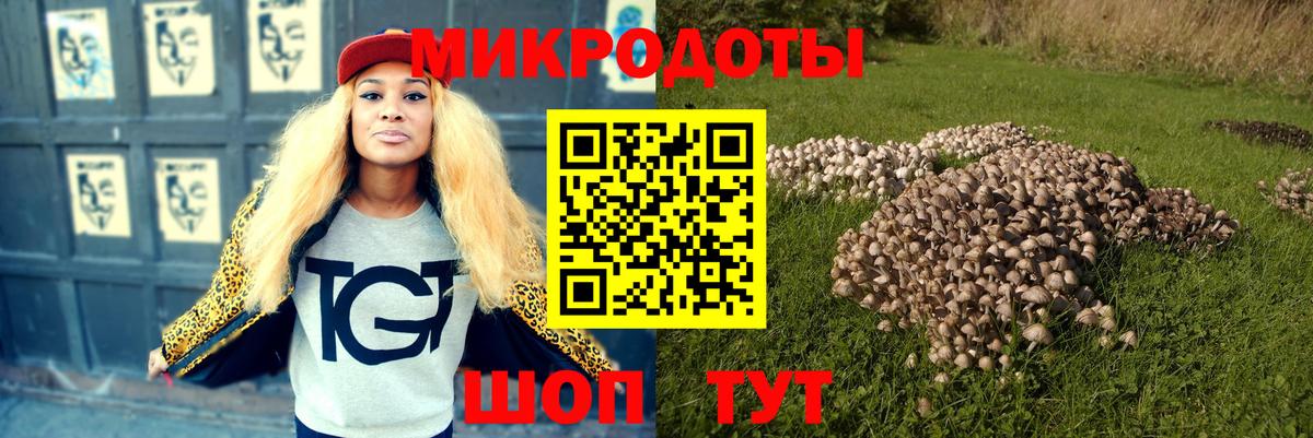 Галлюциногенные грибы GOLDEN TEACHER  наркота  Вход с VPN  Майкоп  Галлюциногенные грибы прущие грибы 