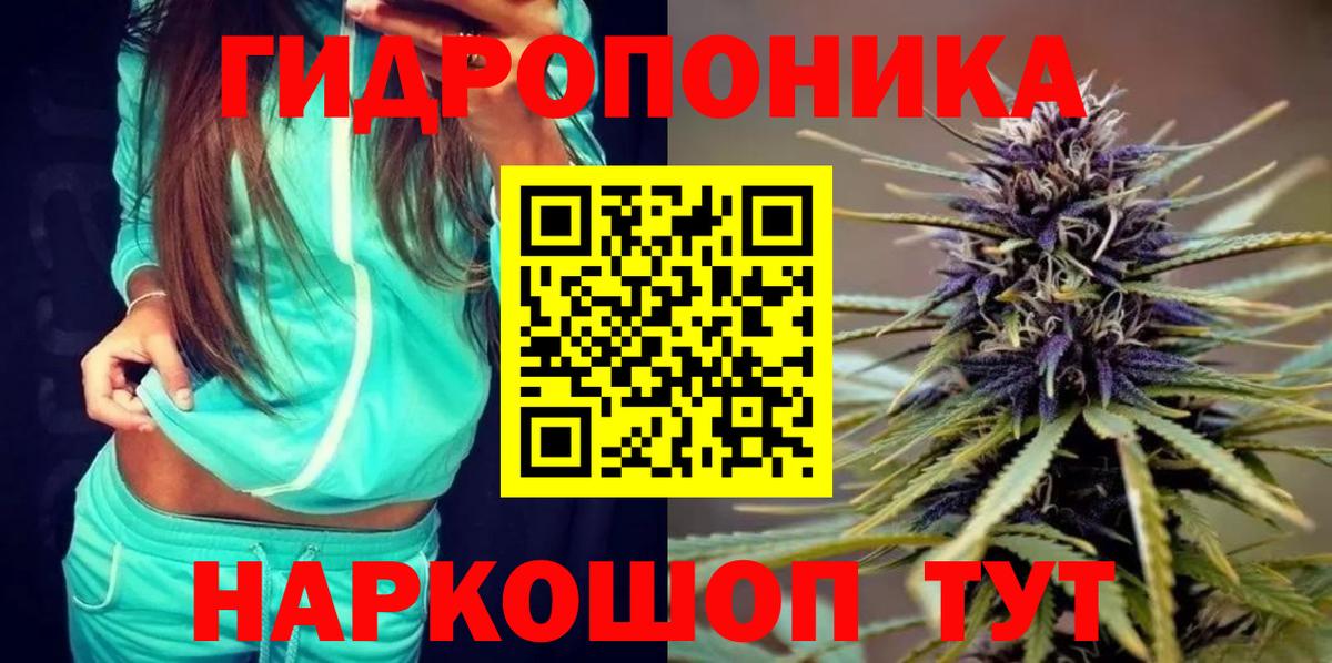 Майкоп  Бошки марихуана White Widow  Канабис индика  Вход с VPN 